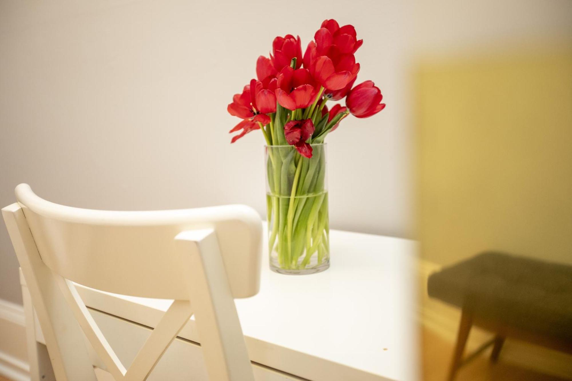 Hayes Valley Inn San Francisco Phòng bức ảnh